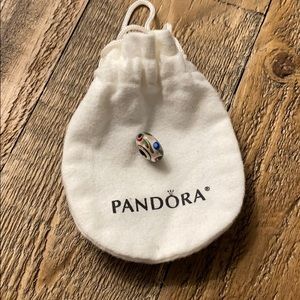 Pandora Painted Glass Charm